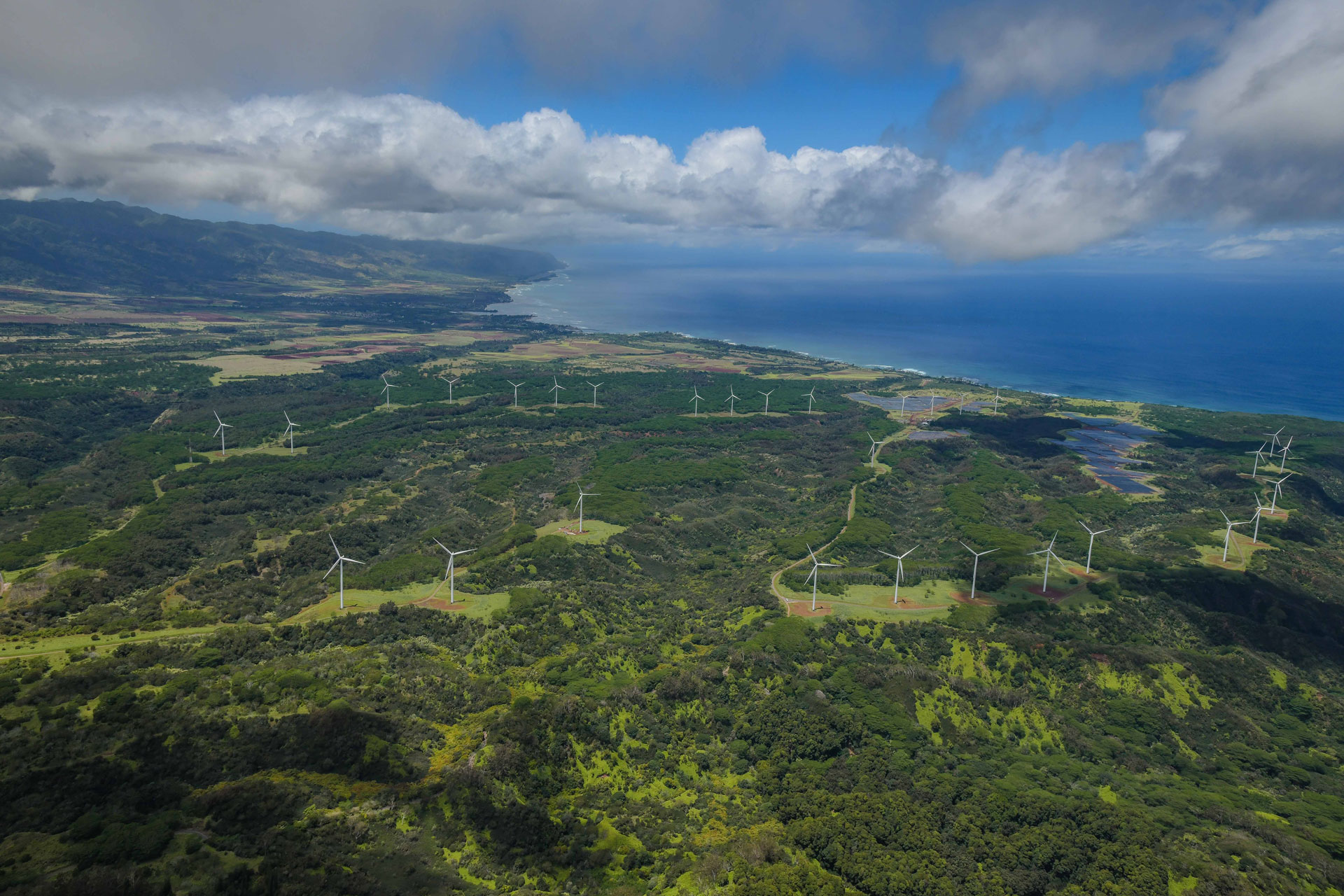 Aerial drone view of turbines at Kawailoa wind farm in lush Hawaiian mountains that meet the ocean.